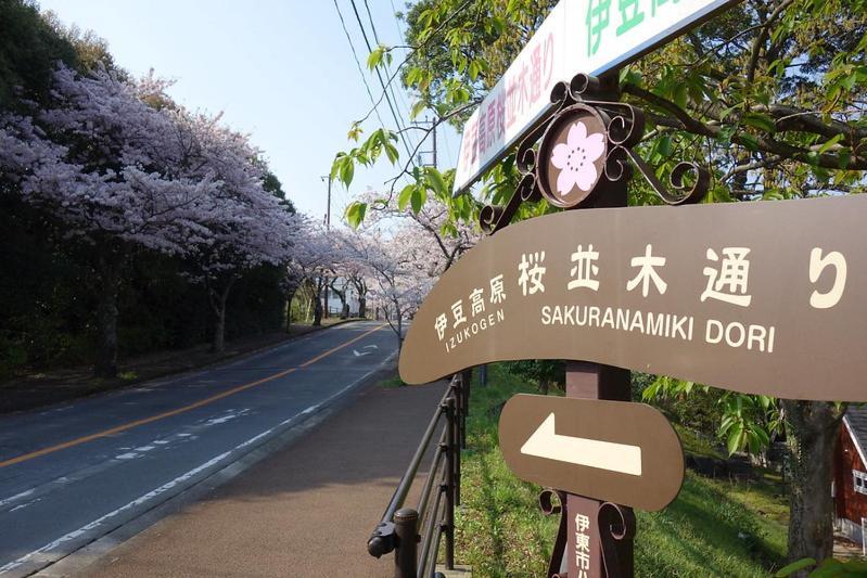 伊豆高原 温泉付別荘 Isana Mountain Villa Futo Esterno foto