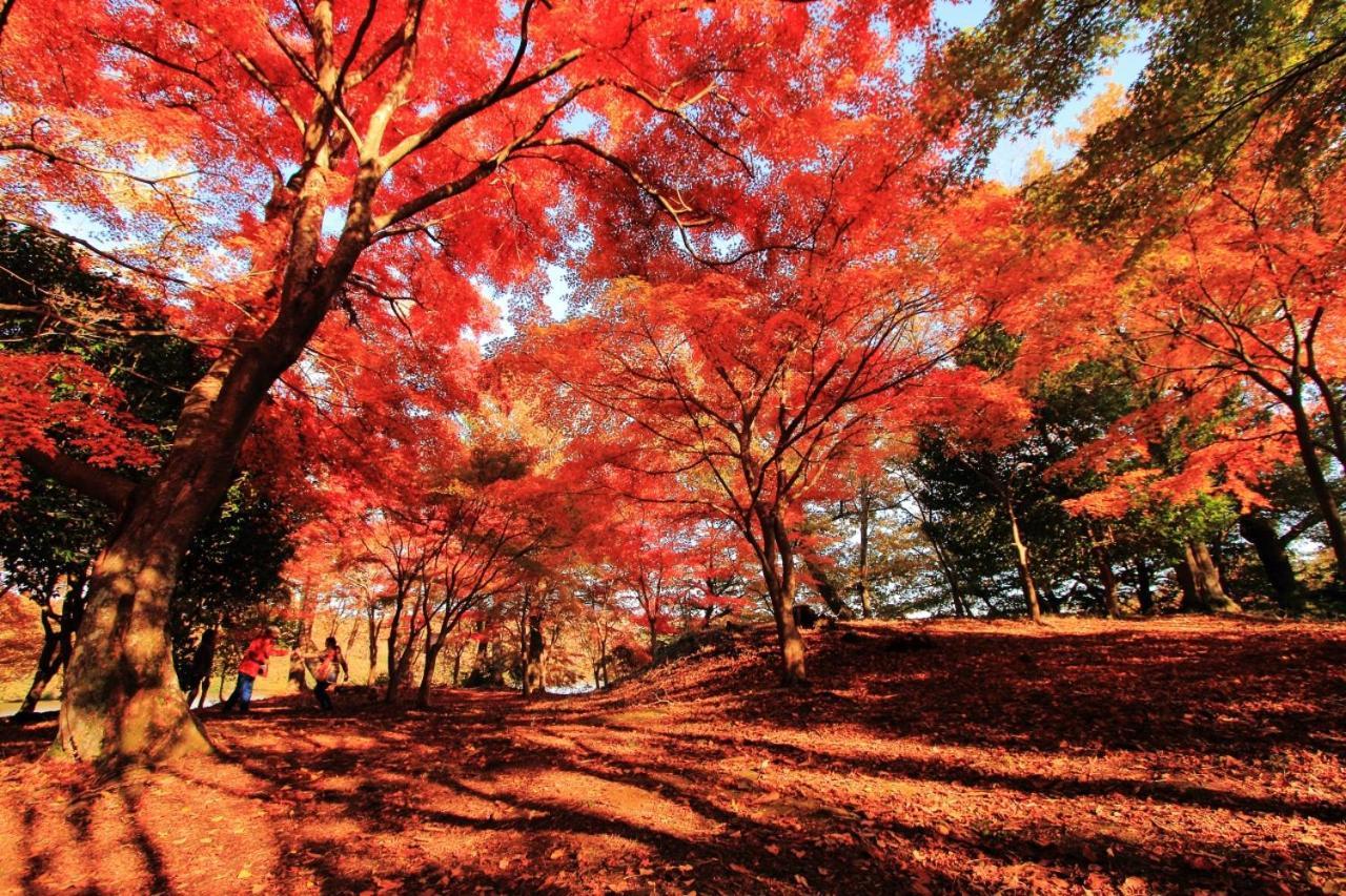 伊豆高原 温泉付別荘 Isana Mountain Villa Futo Esterno foto