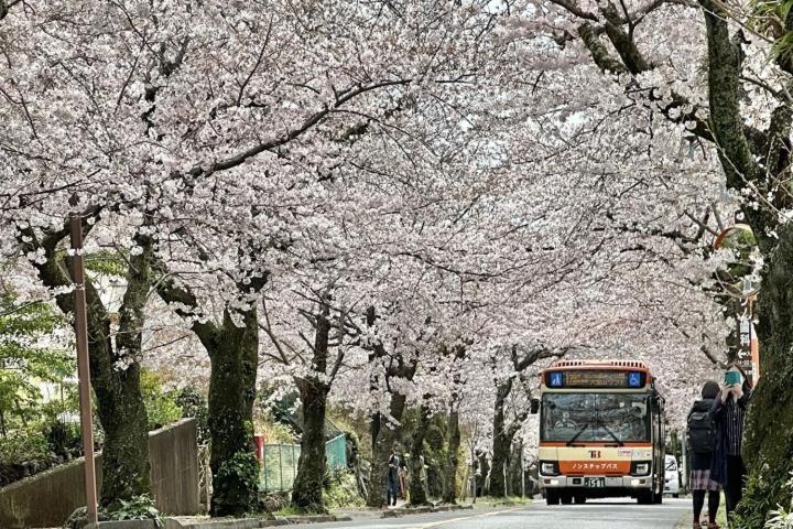 伊豆高原 温泉付別荘 Isana Mountain Villa Futo Esterno foto