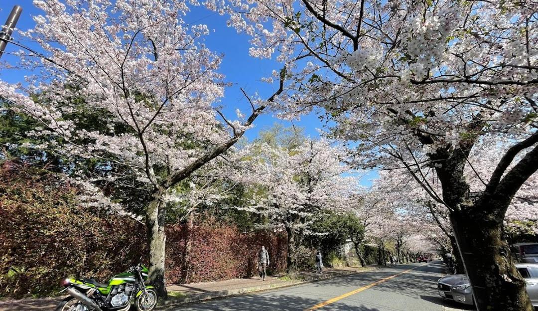 伊豆高原 温泉付別荘 Isana Mountain Villa Futo Esterno foto