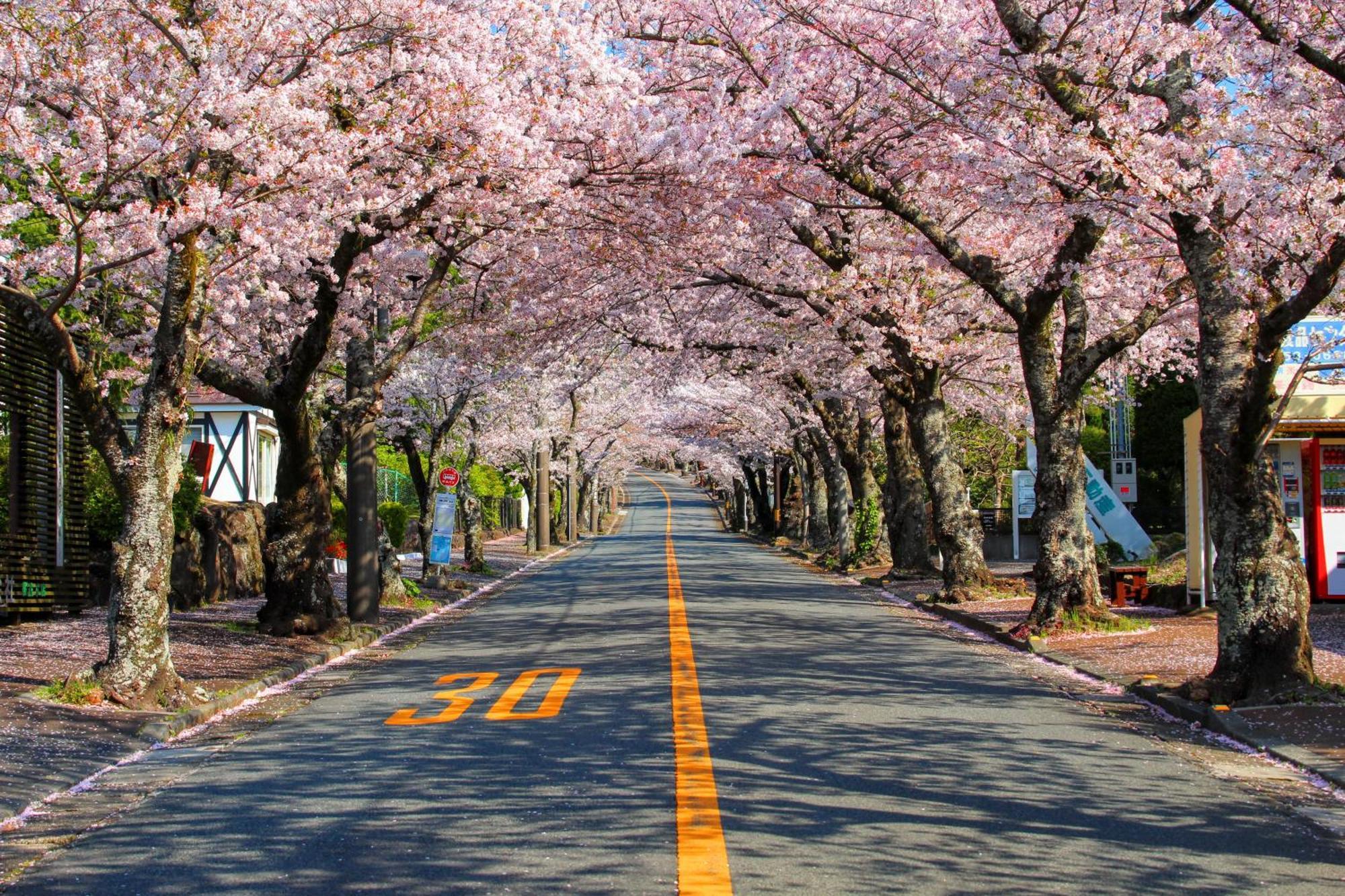 伊豆高原 温泉付別荘 Isana Mountain Villa Futo Esterno foto